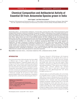 Chemical Composition and Antibacterial Activity of
