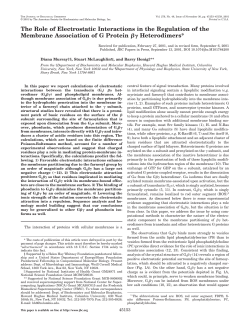 The Role of Electrostatic Interactions in the Regulation of the