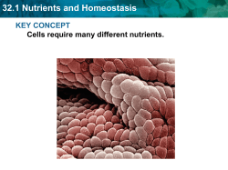 32.1 Nutrients and Homeostasis