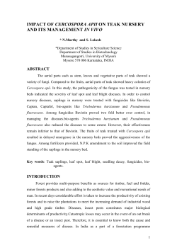 impact of cercopora apii on teak nursery and its management in vivo