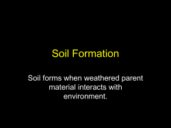 Factors of Soil Formation
