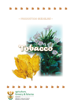 Tobacco - Department of Agriculture, Forestry and Fisheries