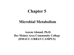 Basic Chemical Reactions Underlying Metabolism