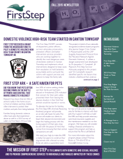 DomESTIc VIoLENcE HIgH-RISk TEAm STARTED IN