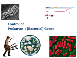 Prokaryotic Control of Gene Expression