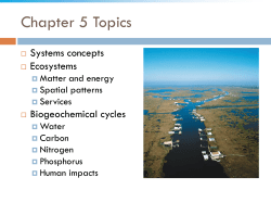Nitrogen cycle