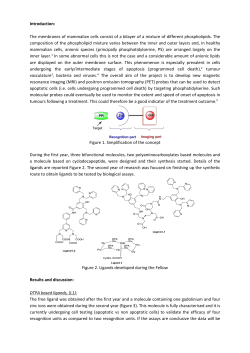 final1-apoptoprobes-final-report-