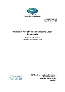 Policies to Assist SMEs in Grasping Green Opportunity