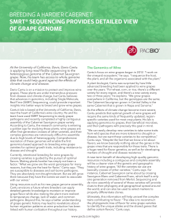 SMRT Sequencing provides detailed view of grape genome