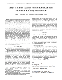 Large Column Test for Phenol Removal from