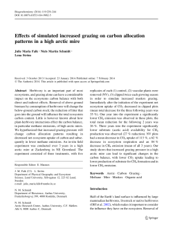 Effects of simulated increased grazing on carbon allocation patterns