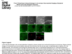 Slide () - Journal of Biomedical Optics