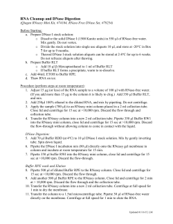 RNA Cleanup and DNase Digestion (Qiagen RNeasy Mini Kit
