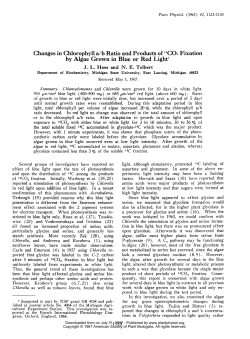 by Algae Grown in Blue or Red Light