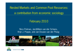 Nested Markets and Common Pool Resources