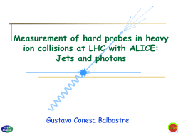 Slides - Agenda INFN