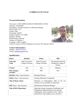 curriculum vitae