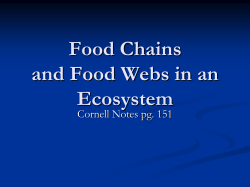 Interactions in an Ecosystem