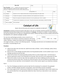 Catalysts of Life lab