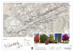 location plan legend tree schedule occation plan legend rfff p1 p1
