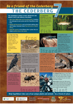 Help CapeNature take care of our unique plants and animals &ndash; be a