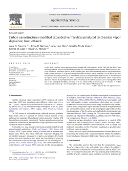 Carbon nanostructures-modified expanded vermiculites produced