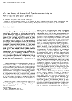 On the assay of acetyl-CoA synthetase activity in