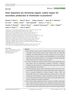 How important are terrestrial organic carbon inputs for secondary