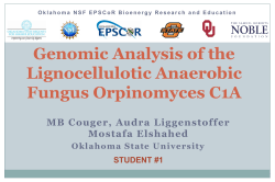 Possible Types of Jobs