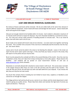 Brush and Leaf Disposal Guidelines