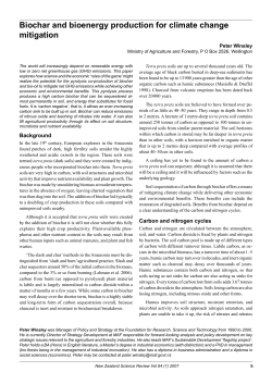 Biochar and bioenergy production for climate change mitigation