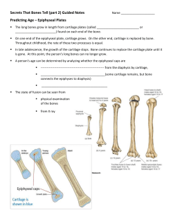Predicting Age &ndash; Epiphyseal Plates
