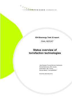 Status overview of torrefaction technologies