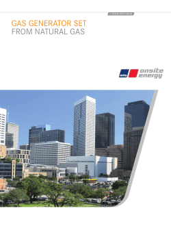 gas generator set from natural gas
