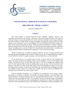 502 Energy This 6-page paper explores the flow and blockage of