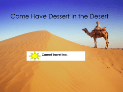 Come Have Dessert in the Dessert