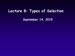 ppt