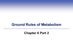 Ground Rules of Metabolism