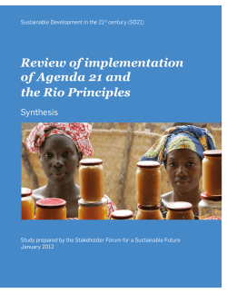 Review of implementation of Agenda 21 and the Rio Principles