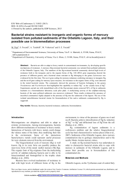 Bacterial strains resistant to inorganic and organic forms of mercury