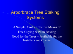 Arborbrace Tree Staking Systems