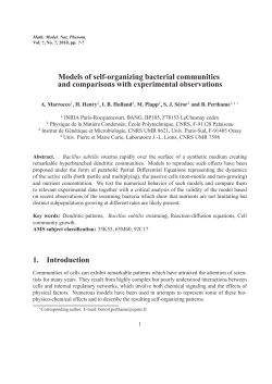 Models of self-organizing bacterial communities