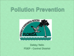 Debby Valin FDEP - Central District What is P2 Why do P2 How to