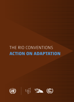 The Rio Conventions - Action on Adaptation