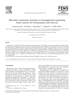Microbial community dynamics in bioaugmented sequencing batch