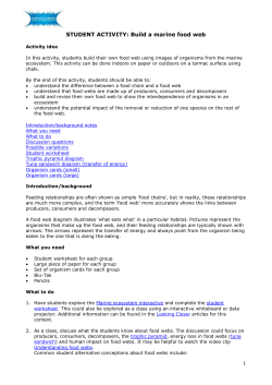 Food Web Activity - Ms. Woodard`s Marine Science Class