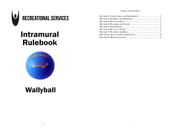 Wallyball - K