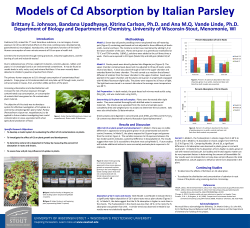 Models of Cd Absorption by Italian Parsley