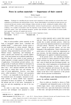 Pores in carbon materials```Importance of their control