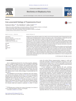 Iron-associated biology of Trypanosoma brucei Biochimica et